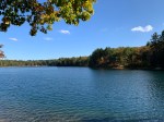 Two Minutes at Walden&nbsp;Pond